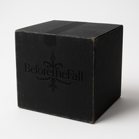 BEFORETHEFALL MYSTERY BOX V2
